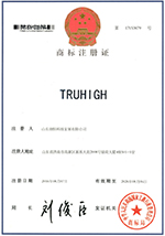 Truhigh商标文字