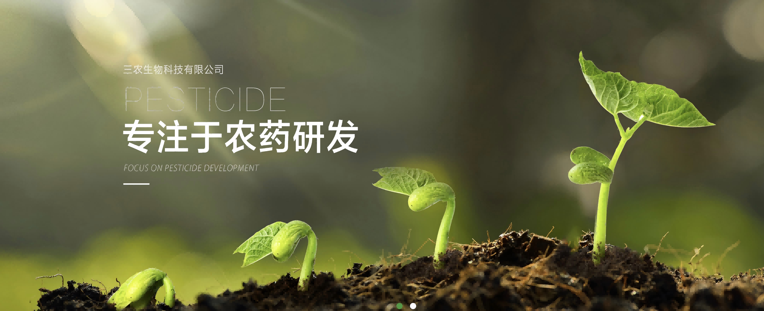 公司中标山东三农生物科技有限公司Truhigh P700 DCS项目